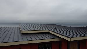 Best Roof Coating and Sealing  in Braddock Hills, PA